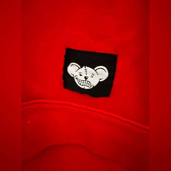 Sam Golbach Dumb and Wise Hoodie - Picture 5 of 5